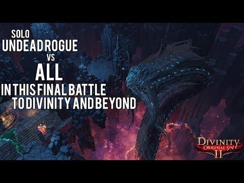 Divinity: Original Sin 2 {SOLO} The last fight