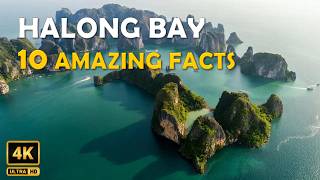 Amazing Facts About Ha Long Bay, Vietnam | Ha Long Bay Vietnam 4K Video Tour
