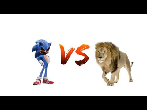 Sonic.exe Vs Lion