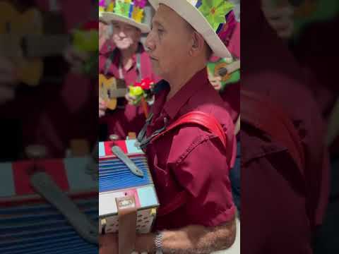 FOLIA DE REIS MENSAGEIROS DA PAZ DE LARANJAL-MG  2026 !!!