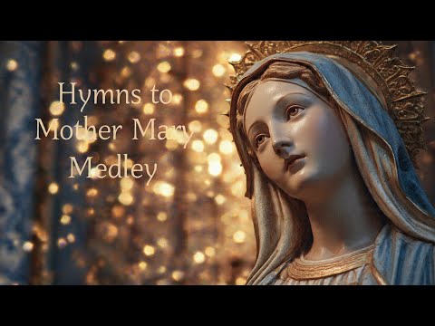 Novus Musik and 2 more