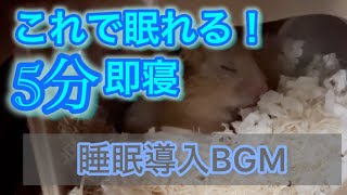 【超熟睡】これ、かなり眠れます　ゆっくり眠る
