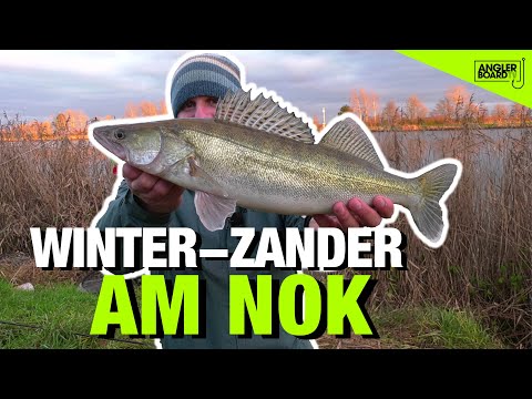 Zander im Winter fangen | Angeln am Nord-Ostsee-Kanal | Tipps und Tricks | Anglerboard TV