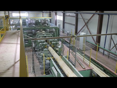 EWD Sägetechnik Kreissägetechnik Sägewerk Plitspichprom 2020