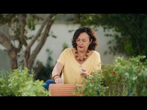 Papel Semente: Gemini no Meet / Google