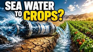 How Farmers Turn Seawater Into Fresh Water to Grow Crops in the Desert