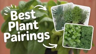 Top 5 Companion Planting Combos for Beginners
