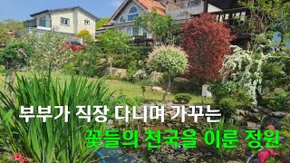 부부가 직장 다니며 가꾸는 꽃들의 천국을 이룬 정원