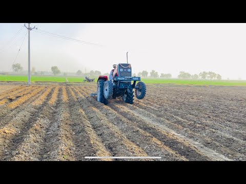 Massey Ferguson 241 Di With 7 Duck Foot Plough (Tota 7)