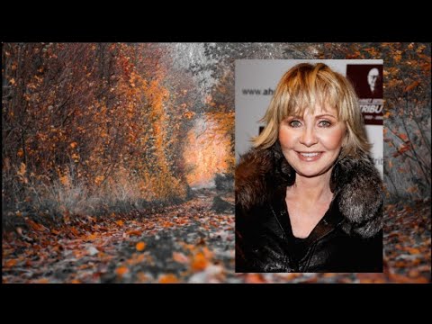 Lulu - To Sir Whit Love - Tradução