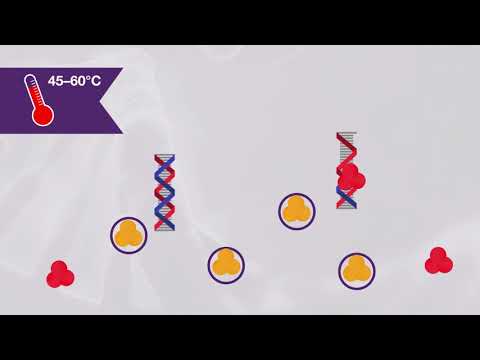 How to get high specificity one-step RT-PCR results