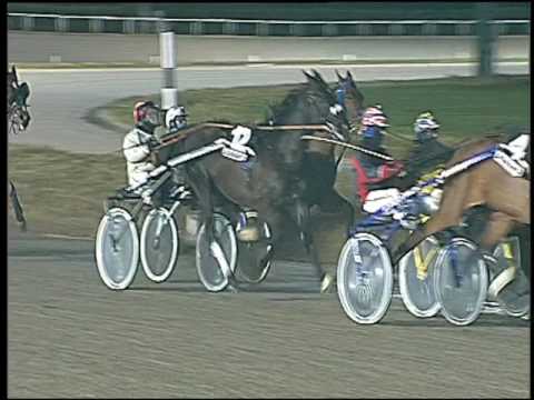 Trotto 17/01/2017 - 7ª corsa