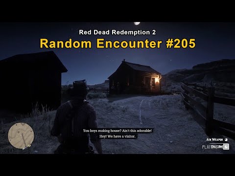 Del Lobo Gang cabin - Random Encounter #205 - Red Dead Redemption 2