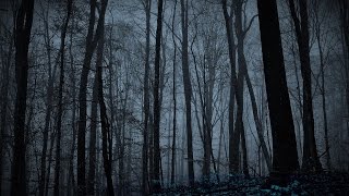 Marduk - Historia de Vlad III 2. Dreams Of Blood And Iron (Letra en español)