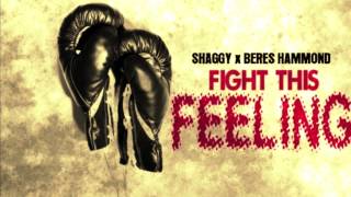 Shaggy Ft Beres Hammond - Fight this Feeling