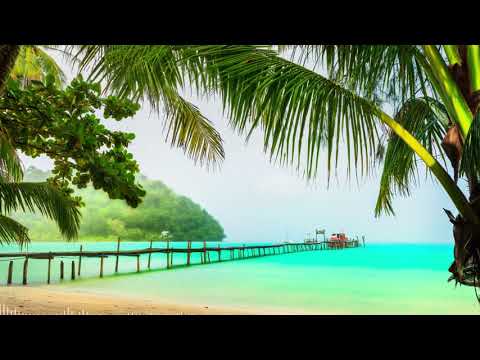 Wilson Fox - Way Out