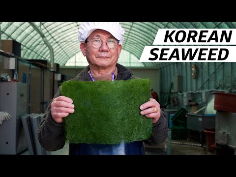 How Seaweed Harvesters Create One of Korea's Most Precious Fine Dining Ingredients — Vendors