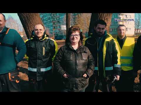 Zielona brygada porządkuje miasto