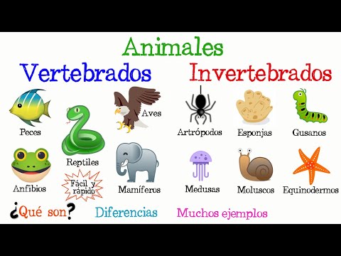 🐠Vertebrate and Invertebrate Animals🐙 [Easy and Fast] | BIOLOGY |