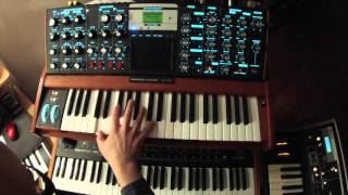 Lucky Man Moog Solo - Cover