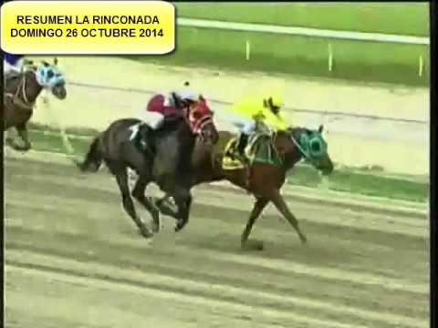 RESUMEN LA RINCONADA DOMINGO 26 OCTUBRE 2014