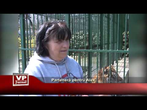 Parteneră pentru Alex