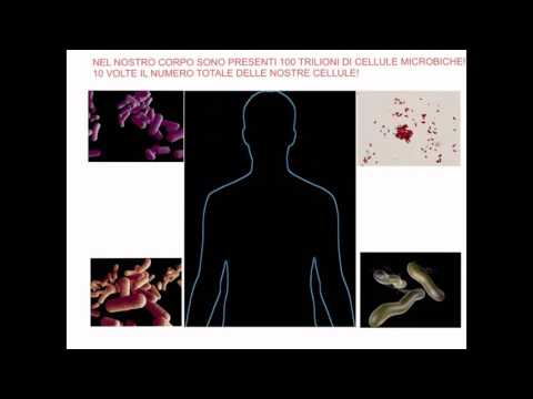 Helminths e meccanismo helminthoses Medicina da vermi di uno spettro largo di attività