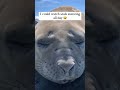 It Sounds Just Like A Fart Lmfao Farts Funnyshorts