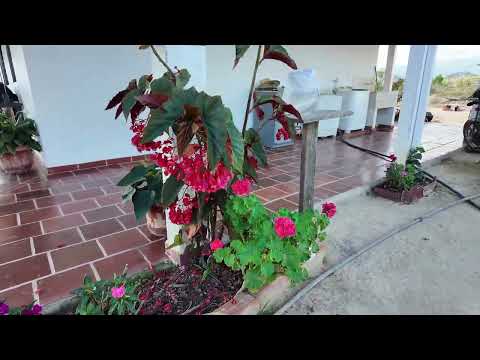 Abrego llano suare norte de Santander un lugar espectacular video tomado por cámara poker 3