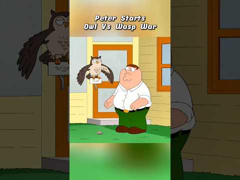 Pefer Starts Owl Vs Wasp War #familyguy #shorts