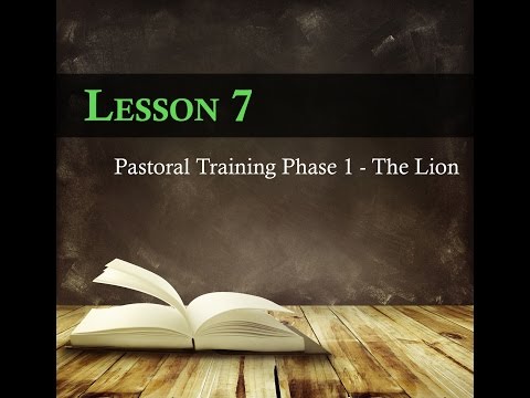 Pastoral Leadership 101 by Colette Toach