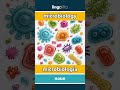 microbiology - microbiología video thumbnail