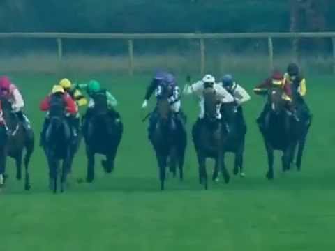 Bremen, Altermann König & Pavenstedt-Handicap, 21.10.2012 - Siegerin: Clarissa Directa