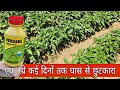 Pentamil Pendimethalin 30 Ec Herbicide खरपतवार नाशक Praveen Thakur