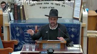 הרב מאיר אליהו  •  זיווג משורש נשמה  •  יזדים