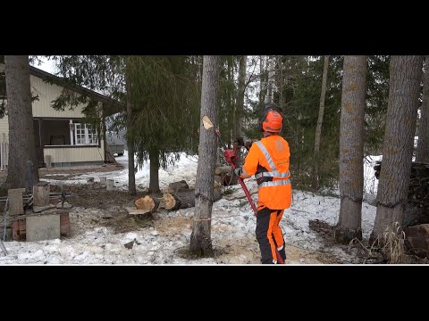 Haastavan  vaaralliset, lahot haavat