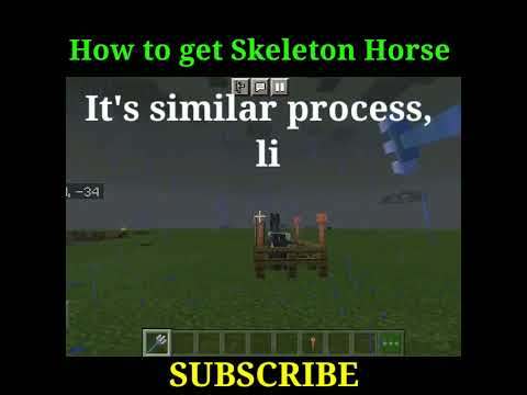 How to get Skeleton Horse in Minecraft 1.19 #yesimmrx  #shorts