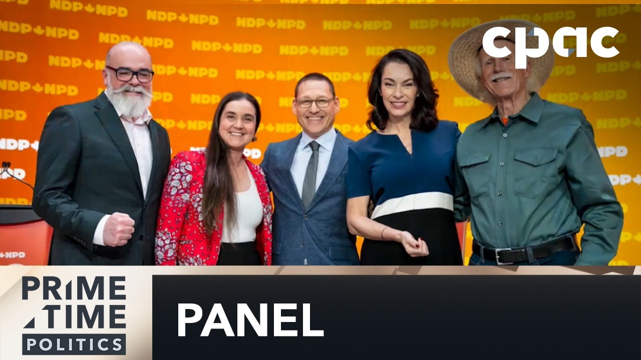 Who Will Lead the NDP? | Strategists Weigh In