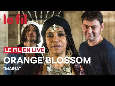 ORANGE BLOSSOM - Maria // Live @ le fil