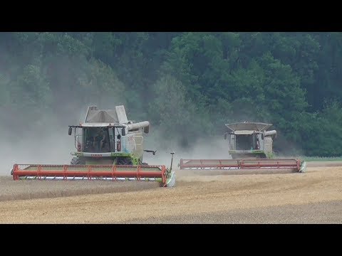VELKÉ ŽNĚ PŠENICE 2018 - kombajny Claas Lexion 760 a 600TT