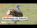 heute journal vom 27.05.2024 Artenschutz bei Großtrappe, Macron in Dresden, Kommunalwahlen Thüringen