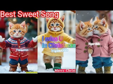 Best sweet Christmas song of cat.I miss U in Christmas