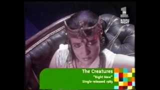 The Creatures Right Now Videoclip