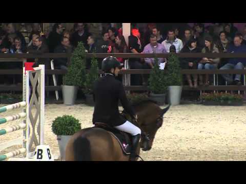 Stallion competition 6 years old horses BWP