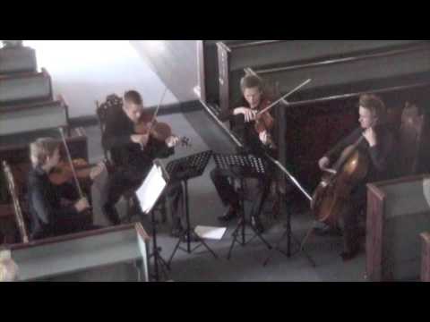 Quartetto Testosterone - Gaathaug: String Quartet No. 2 - 3rd Movement