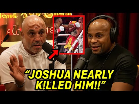 The Boxing Cage and Celeb Shore