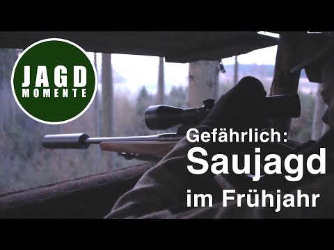 Dangerous: Wild boar hunting in spring | Hunting Moments | 2022 | JagenNRW