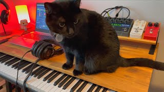 &quot;An Cat Dubh / Into the Heart&quot; by U2 (Instrumental Cover - New Version)