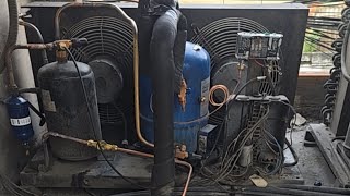 Reparo Ao Vivo Balcão Resfriados