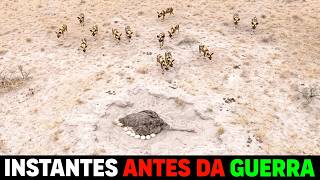 🚨 O ÚLTIMO INSTANTE DE PAZ antes de TUDO MUDAR